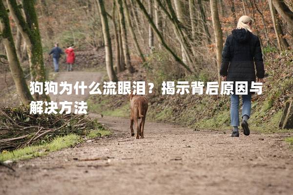 狗狗为什么流眼泪？揭示背后原因与解决方法