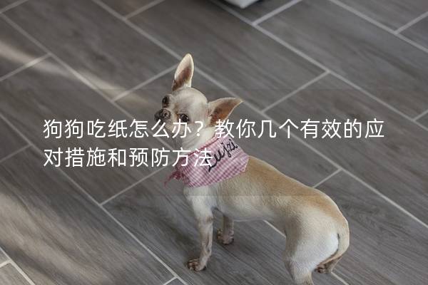 狗狗吃纸怎么办？教你几个有效的应对措施和预防方法