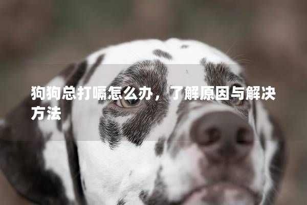 狗狗总打嗝怎么办，了解原因与解决方法