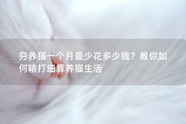 穷养猫一个月最少花多少钱？教你如何精打细算养猫生活