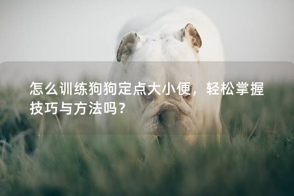 怎么训练狗狗定点大小便，轻松掌握技巧与方法吗？