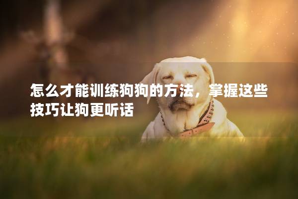 怎么才能训练狗狗的方法，掌握这些技巧让狗更听话