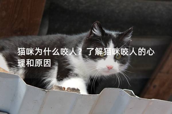 猫咪为什么咬人？了解猫咪咬人的心理和原因