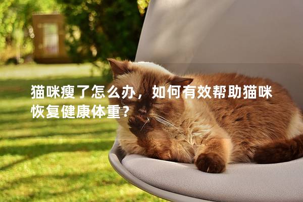 猫咪瘦了怎么办，如何有效帮助猫咪恢复健康体重？