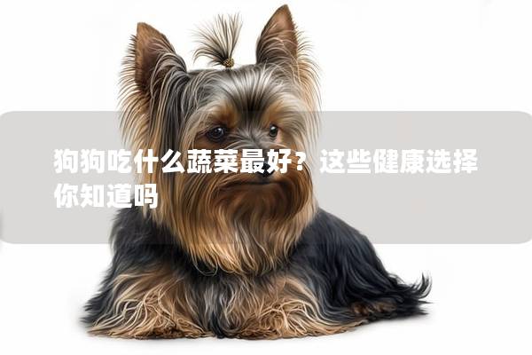 狗狗吃什么蔬菜最好？这些健康选择你知道吗