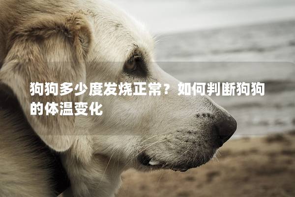 狗狗多少度发烧正常？如何判断狗狗的体温变化