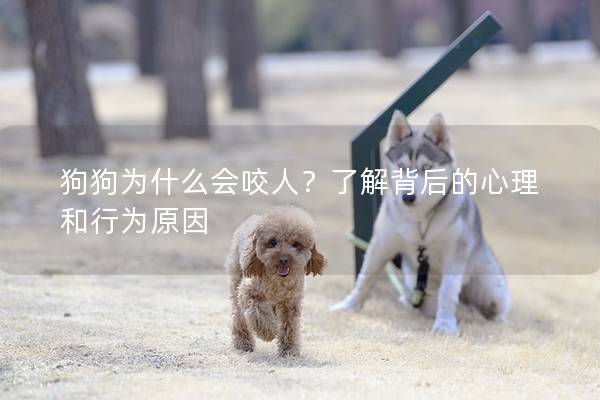 狗狗为什么会咬人？了解背后的心理和行为原因