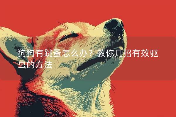 狗狗有跳蚤怎么办？教你几招有效驱虫的方法