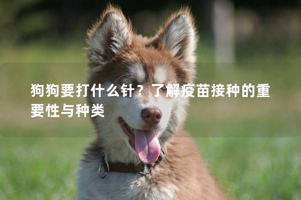 狗狗要打什么针？了解疫苗接种的重要性与种类