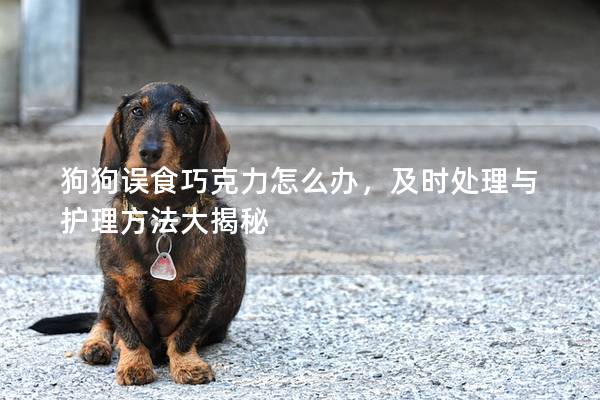 狗狗误食巧克力怎么办，及时处理与护理方法大揭秘