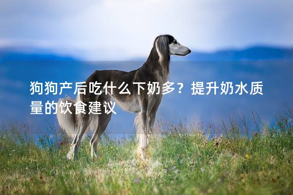 狗狗产后吃什么下奶多？提升奶水质量的饮食建议