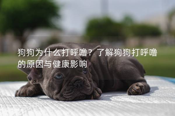 狗狗为什么打呼噜？了解狗狗打呼噜的原因与健康影响