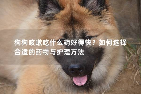 狗狗咳嗽吃什么药好得快？如何选择合适的药物与护理方法