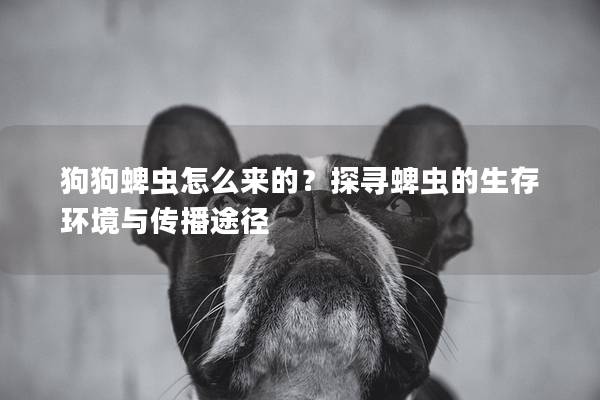 狗狗蜱虫怎么来的？探寻蜱虫的生存环境与传播途径