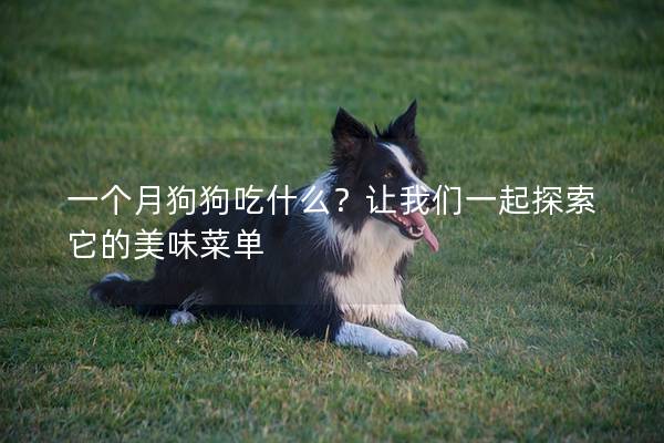 一个月狗狗吃什么?让我们一起探索它的美味菜单 一个月狗狗吃什么?让我们一起探索它的美味菜单