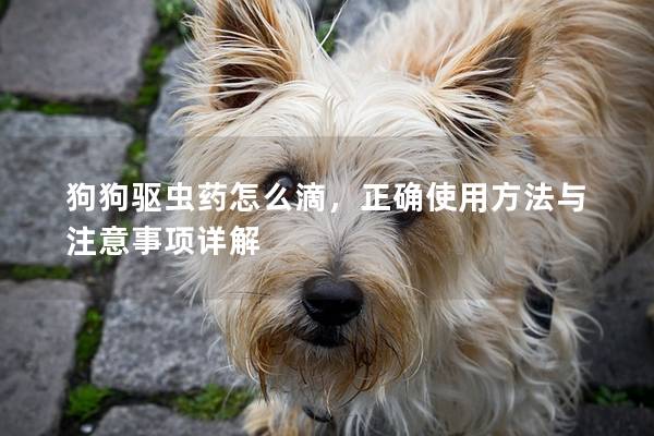 狗狗驱虫药怎么滴，正确使用方法与注意事项详解