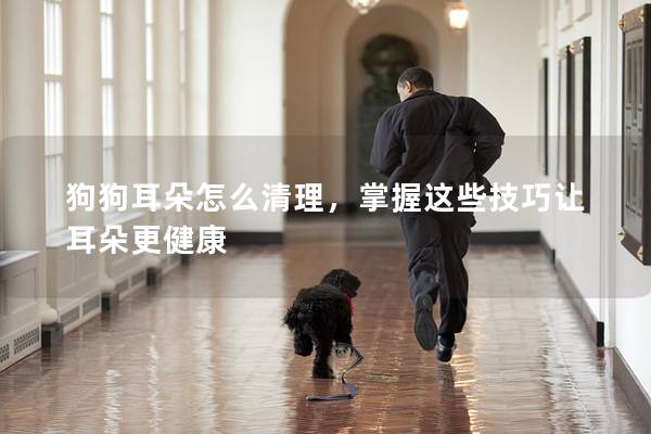 狗狗耳朵怎么清理，掌握这些技巧让耳朵更健康