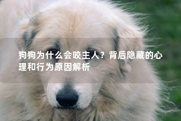 狗狗为什么会咬主人？背后隐藏的心理和行为原因解析