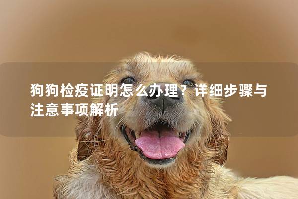 狗狗检疫证明怎么办理？详细步骤与注意事项解析