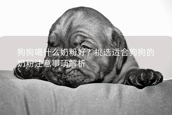 狗狗喝什么奶粉好？挑选适合狗狗的奶粉注意事项解析