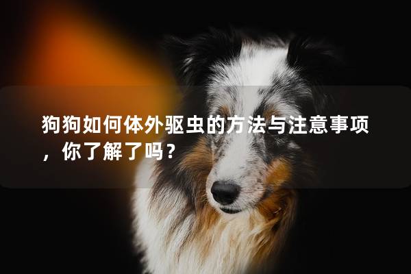 狗狗如何体外驱虫的方法与注意事项，你了解了吗？