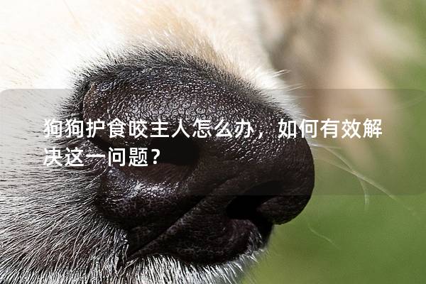 狗狗护食咬主人怎么办，如何有效解决这一问题？