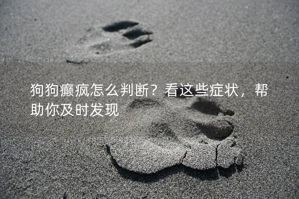 狗狗癫疯怎么判断？看这些症状，帮助你及时发现