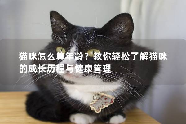 猫咪怎么算年龄？教你轻松了解猫咪的成长历程与健康管理